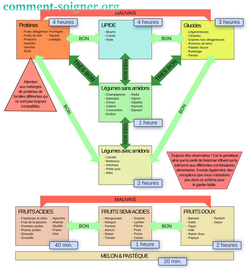 Les bonnes combinaisons alimentaires