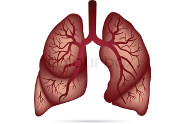 Comment Soigner Les Maladies Des Poumons?